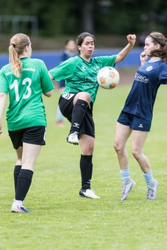Bild 264 - F VfL Pinneberg - GW Eimsbuettel4 : Ergebnis: 9:0